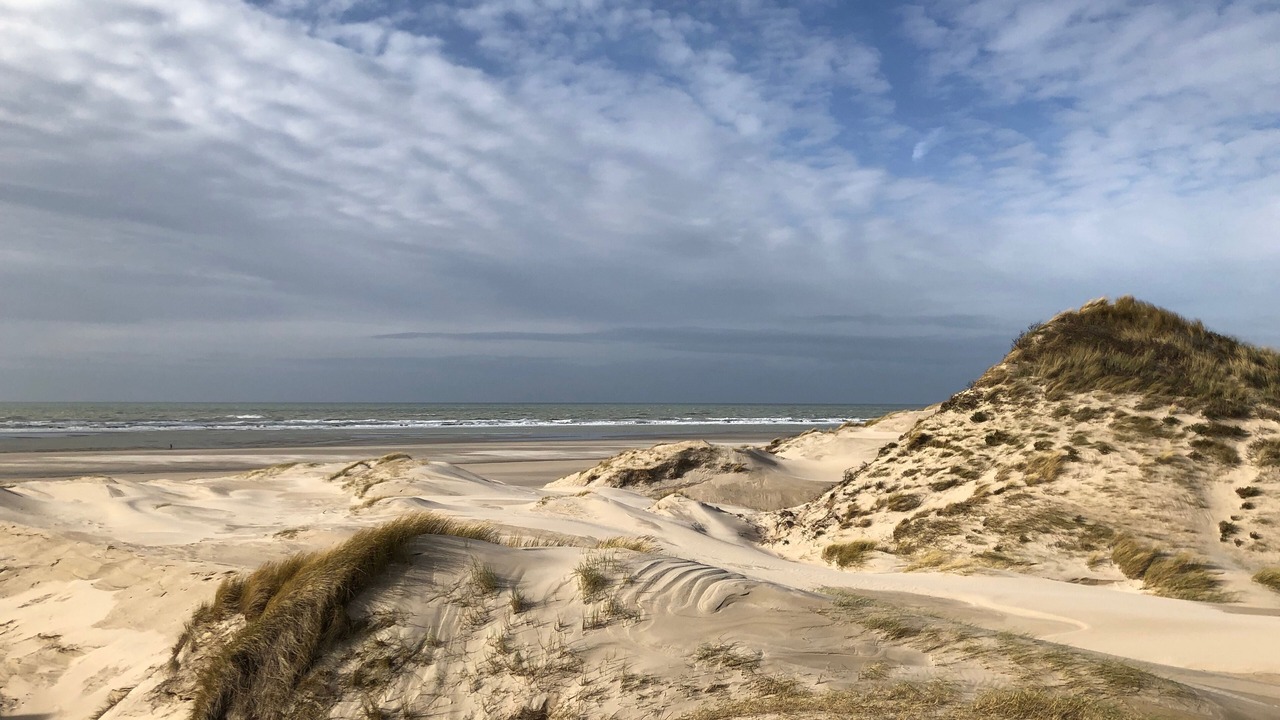 Photo of Others in Berck-sur-Mer