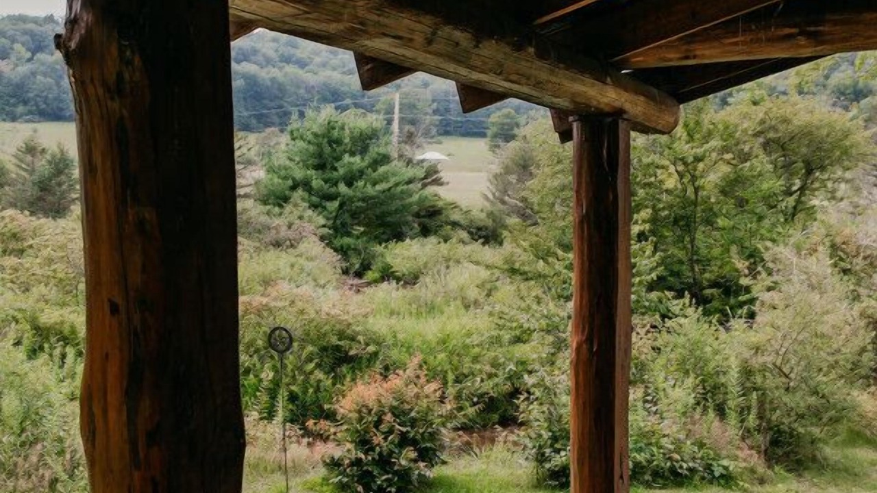 Photo of Outdoor in Shinglehouse