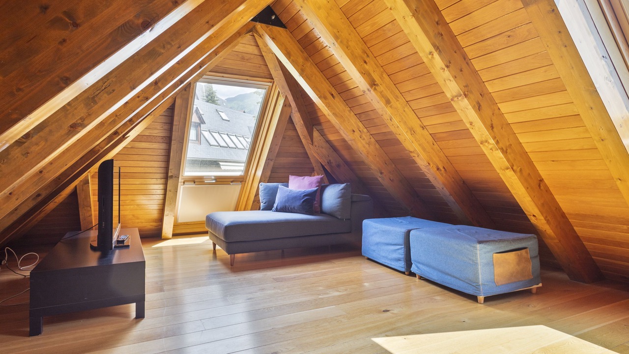 Photo of Livingroom in Vielha