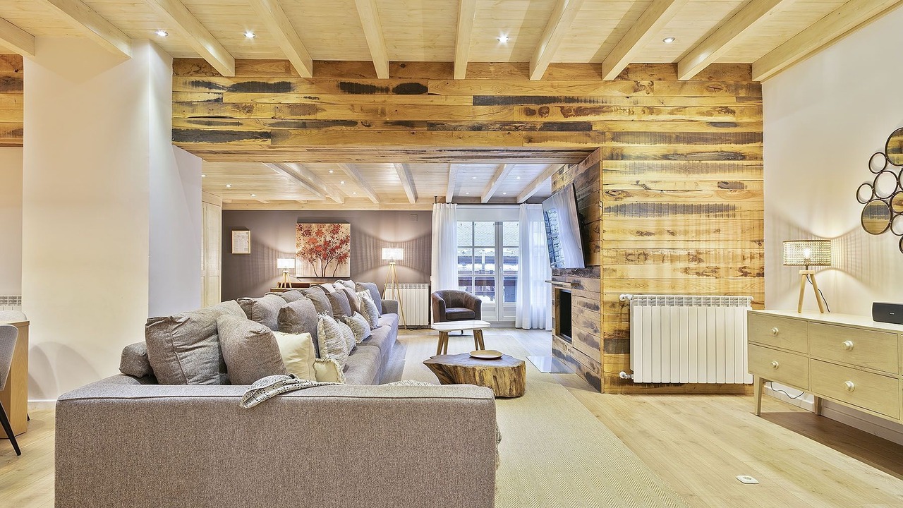 Photo of Livingroom in Baqueira