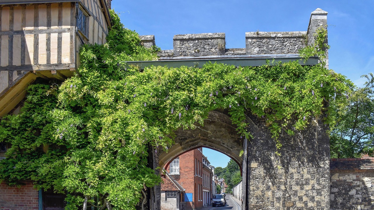 Photo of Others in Winchester