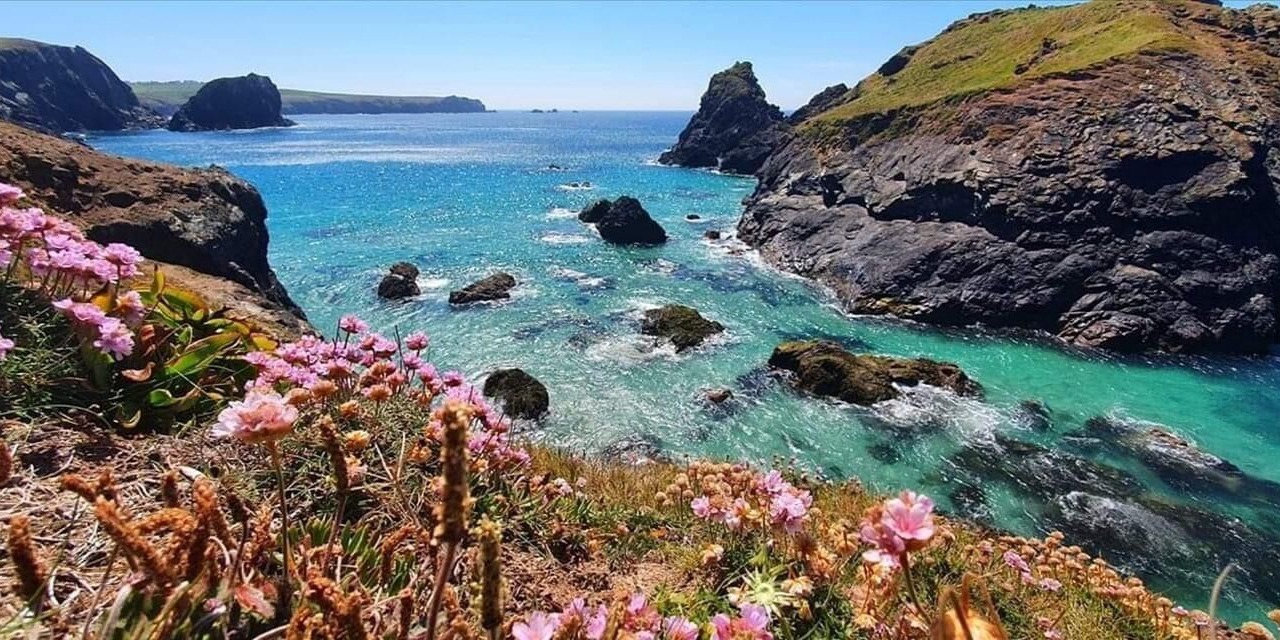 Photo of Others in Grade