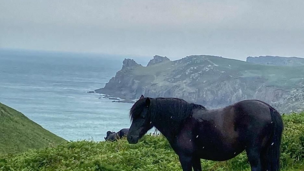 Photo of Others in Grade