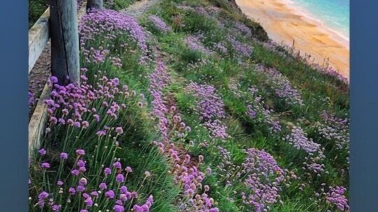 Photo of Others in Grade