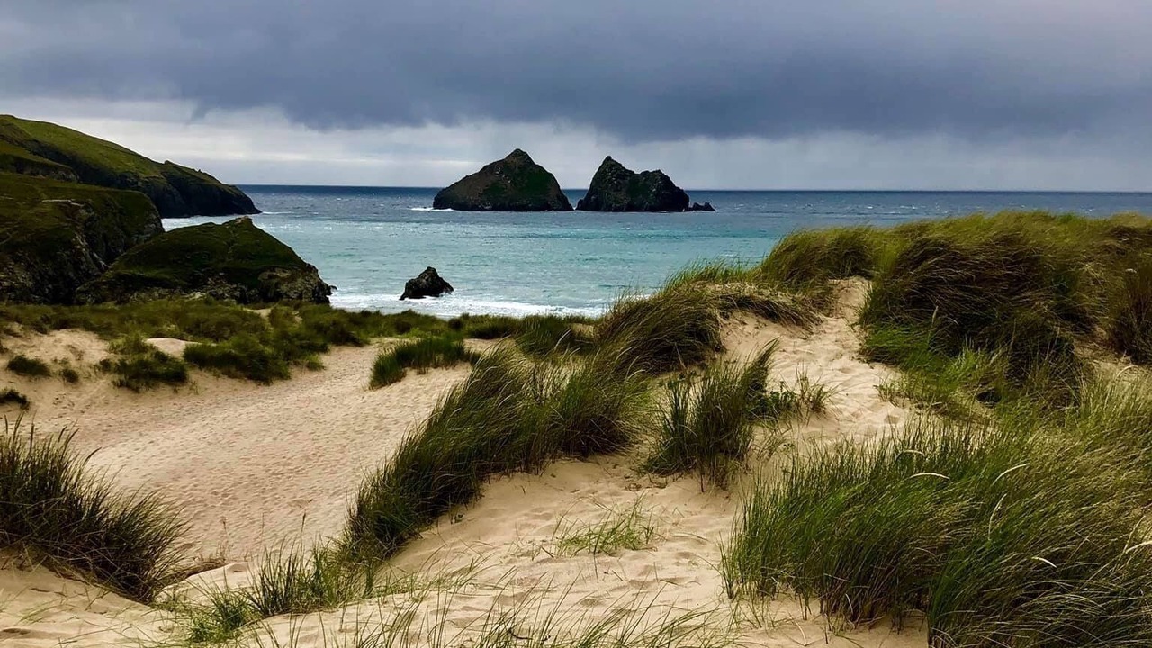 Photo of Others in Grade