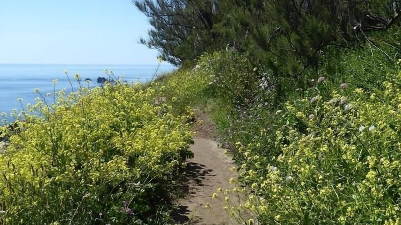 Photo of Others in Grade