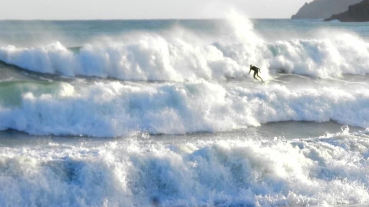 Photo of Others in Grade