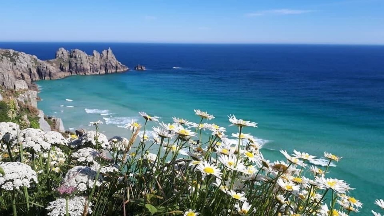 Photo of Others in Grade