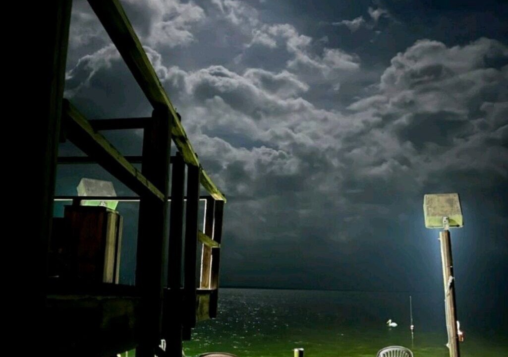 Photo of Outdoor in Loyola Beach