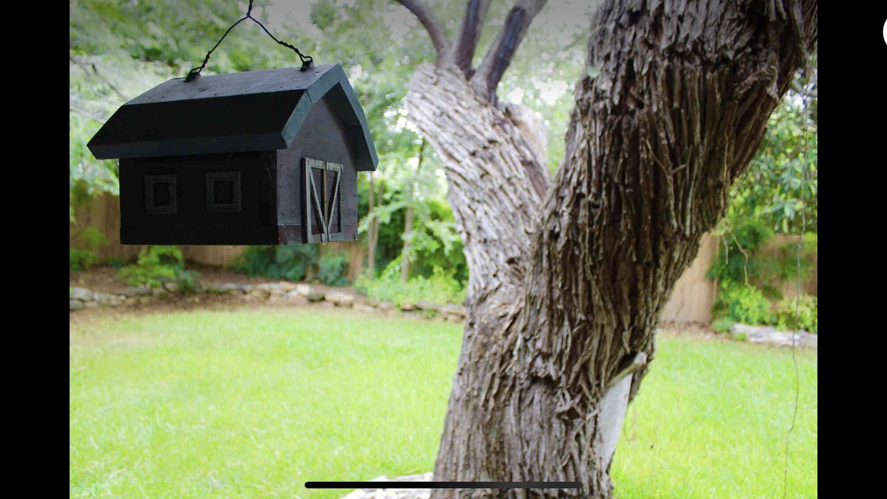 Photo of Outdoor in Leon Valley