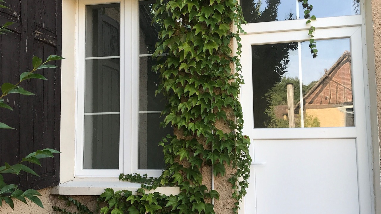 Photo of Outdoor in Saint-Georges-Motel