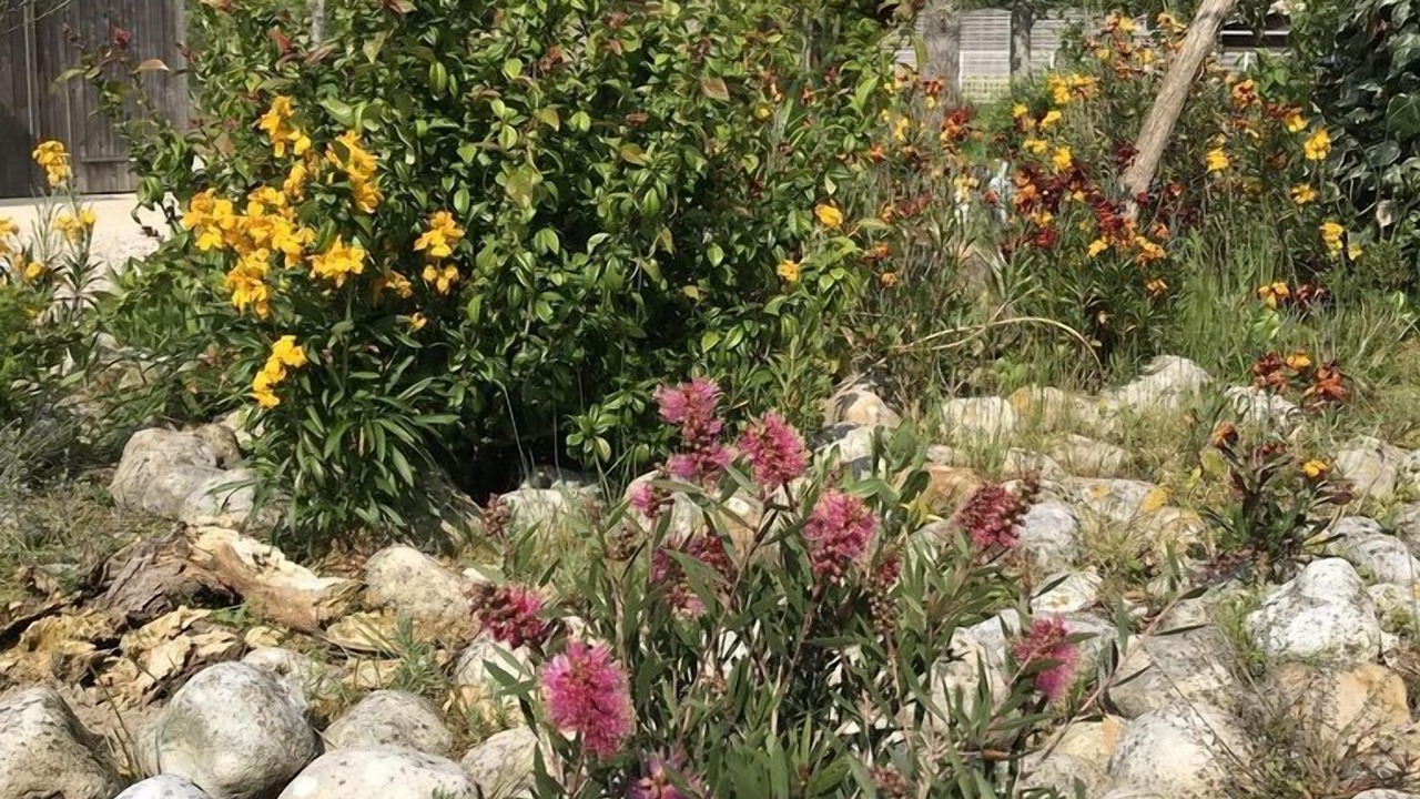 Photo of Outdoor in Quend