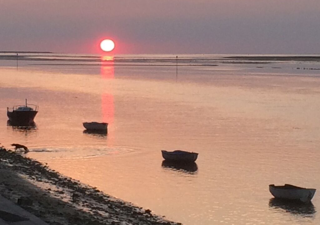 Photo of Others in Quend