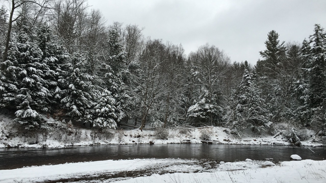 Photo of Others in Glenfield