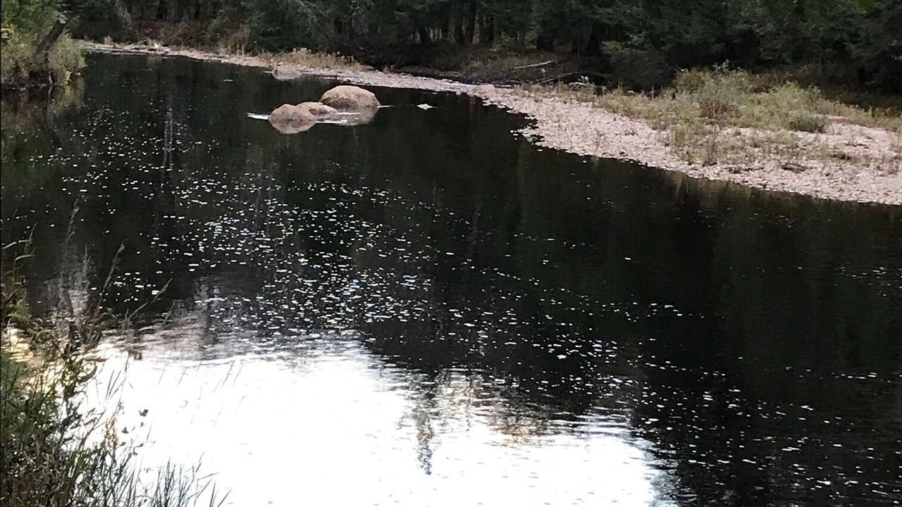 Photo of Others in Glenfield