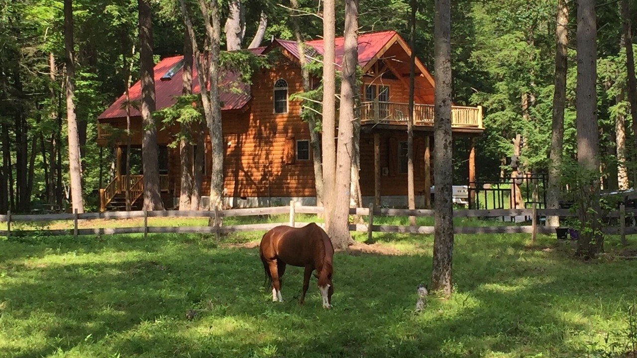 Photo of Outdoor in Glenfield