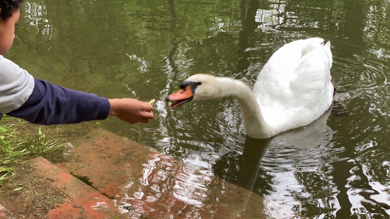 Photo of Others in Marsac