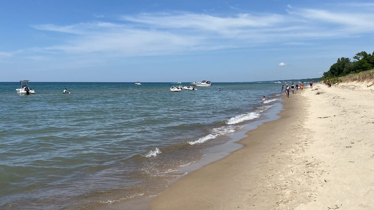 Photo of Others in South Haven