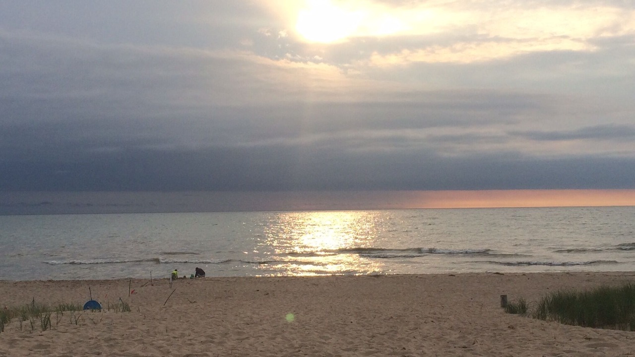Photo of Others in South Haven