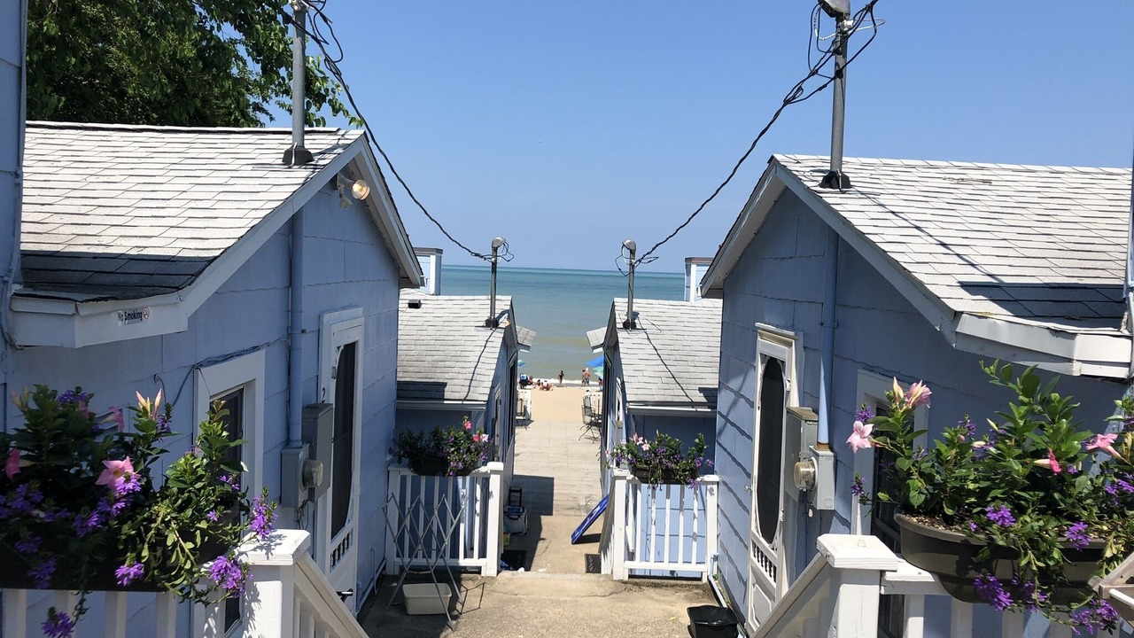 Photo of Others in South Haven