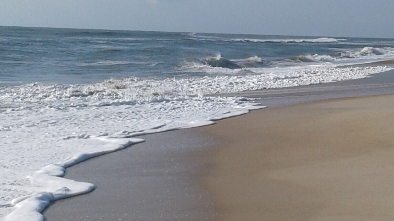 Photo of Others in Chincoteague