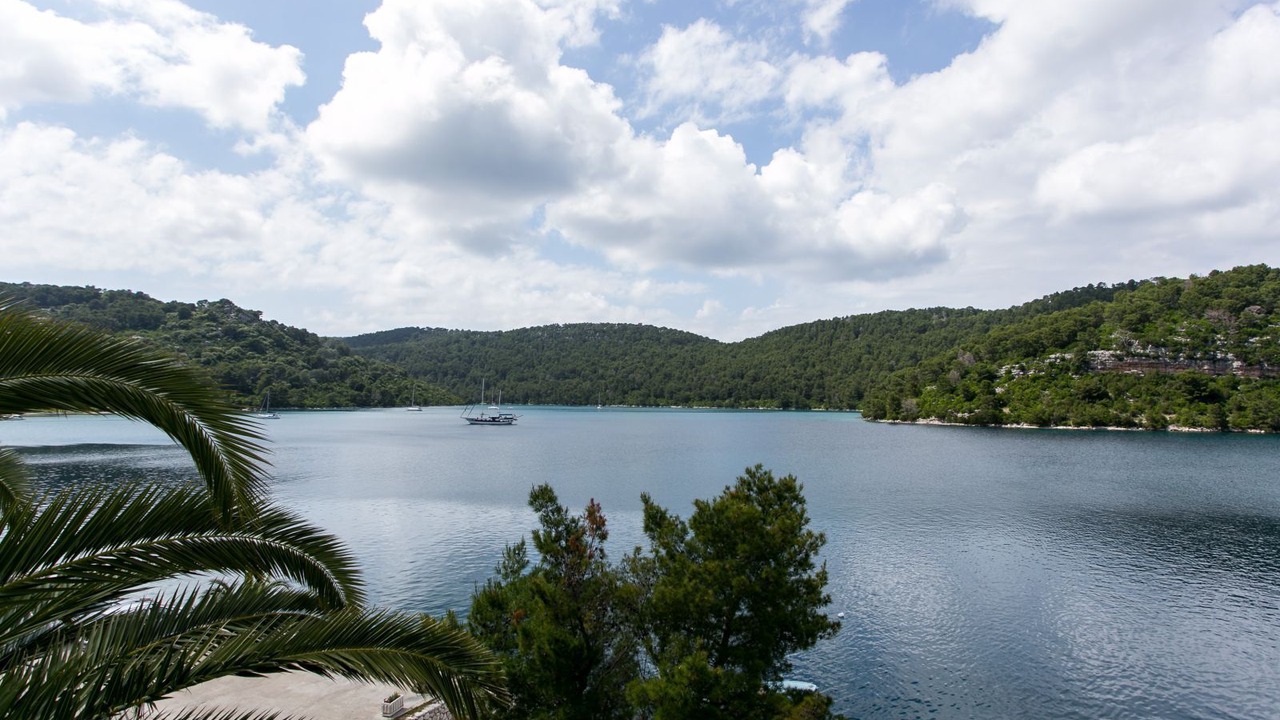 Photo of Outdoor in Polace