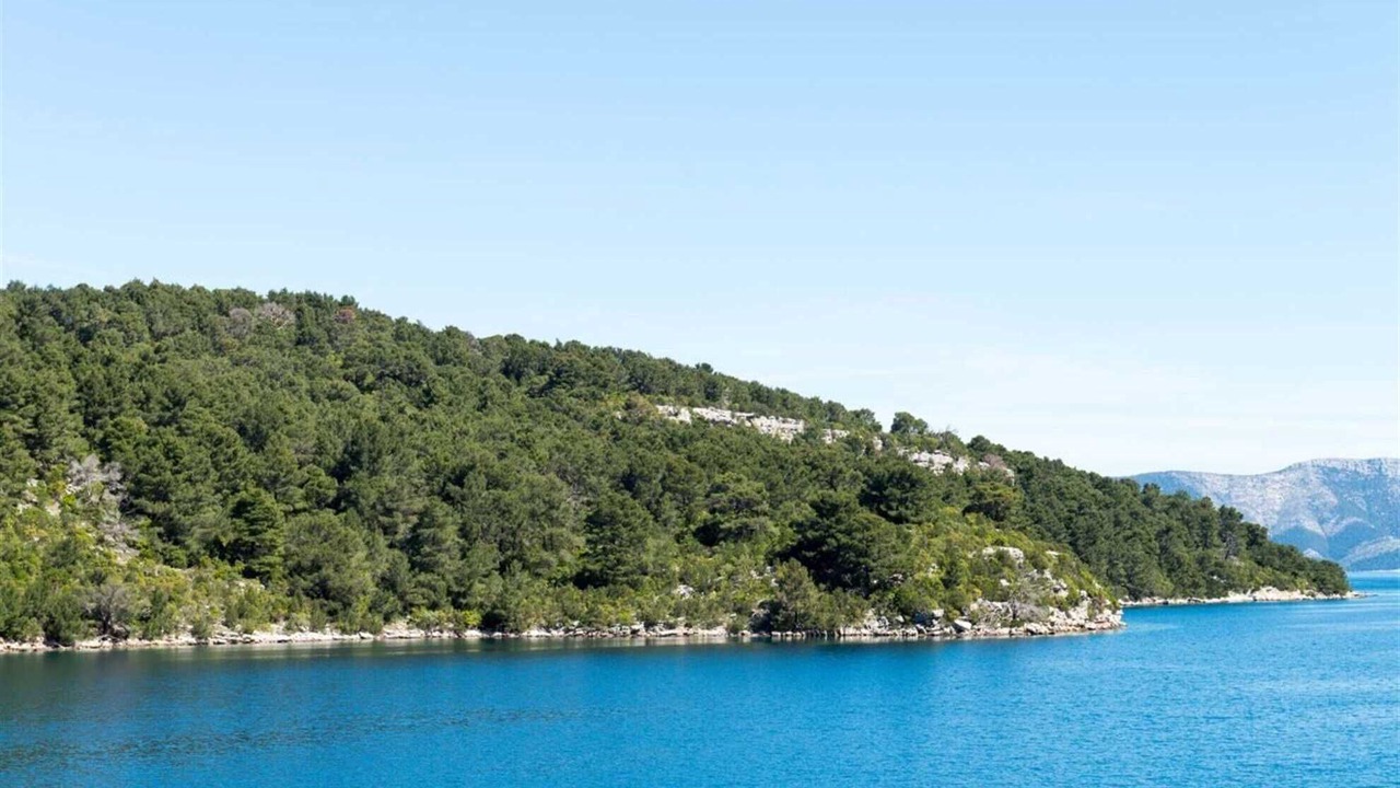 Photo of Others in Pomena