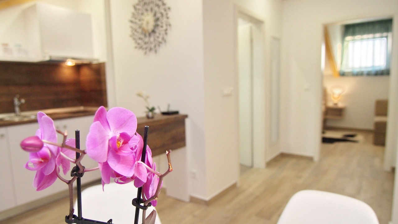 Photo of Livingroom in Gornji Kono