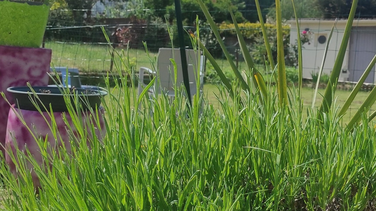 Photo of Outdoor in Wissant