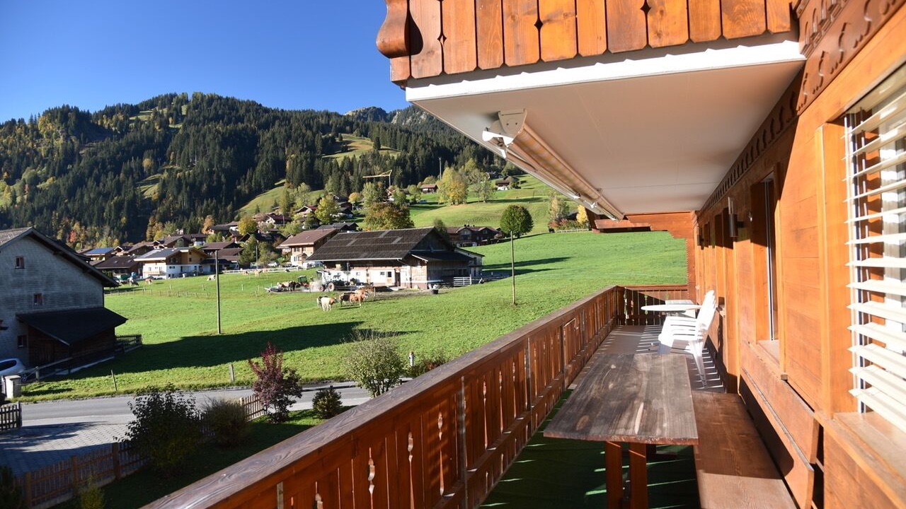 Photo of Patio Balcony in Lenk