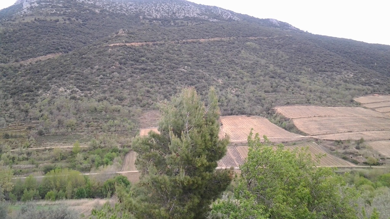 Photo of Outdoor in Ansignan