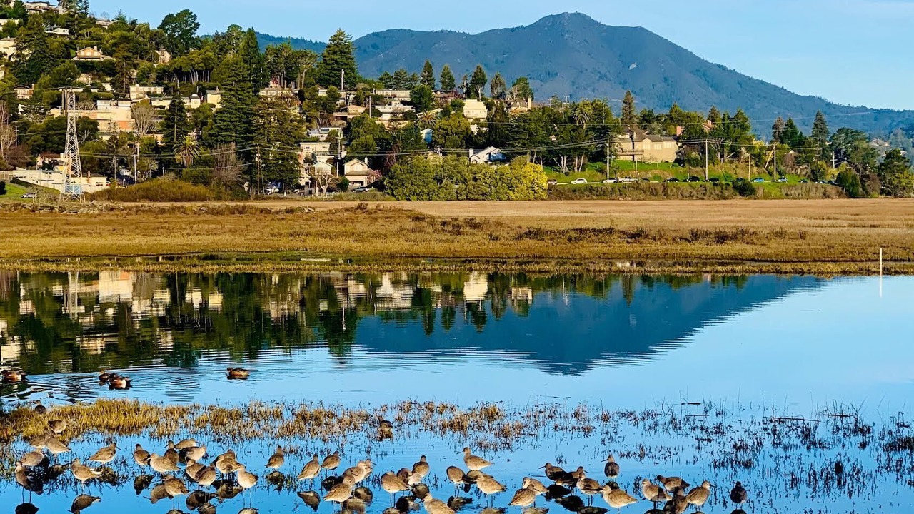 Photo of Outdoor in Marin City