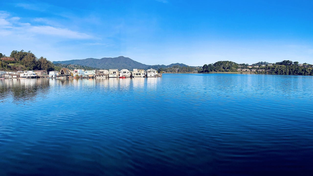 Photo of Outdoor in Marin City