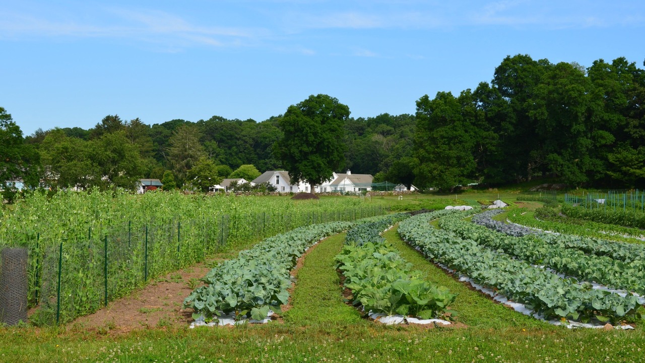 Photo of Outdoor in East Lyme