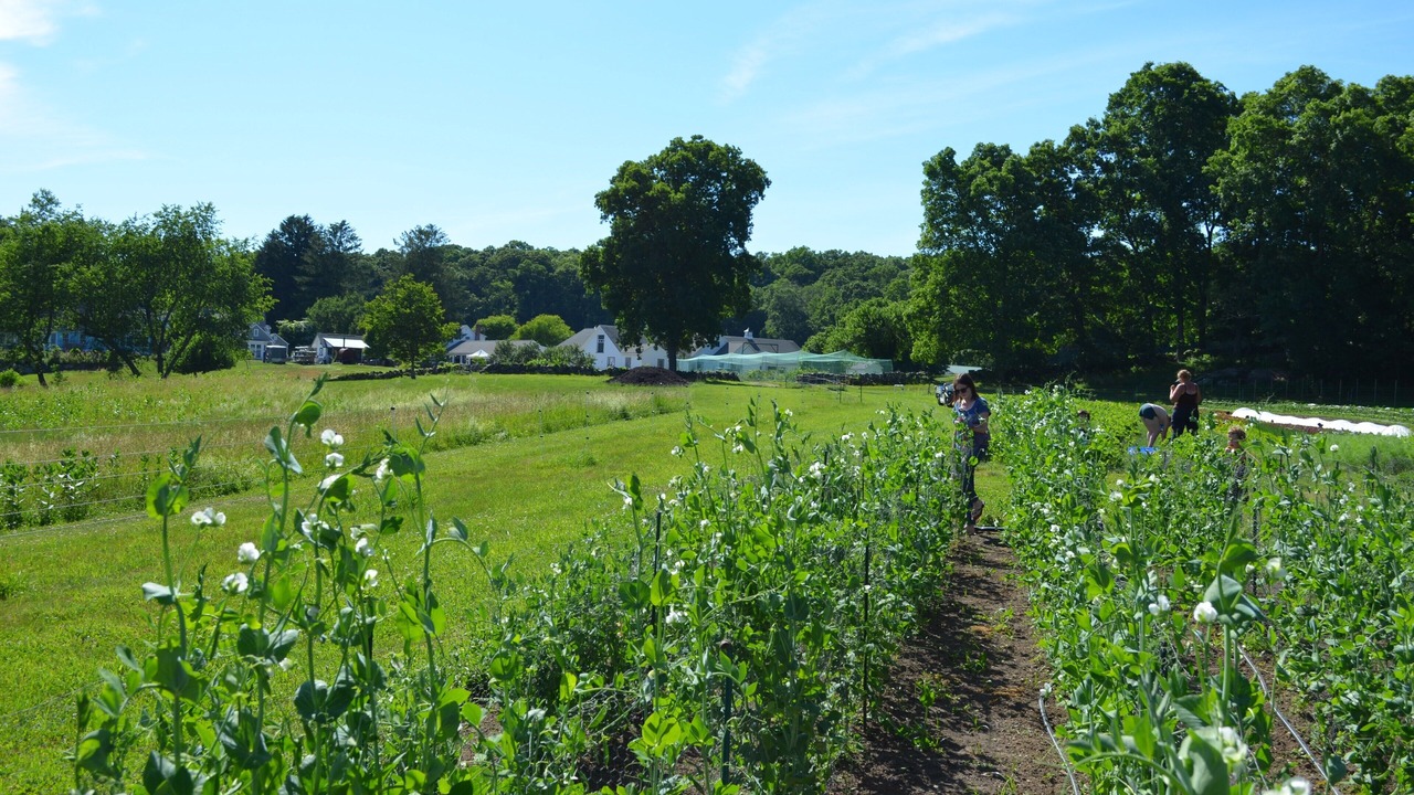 Photo of Others in East Lyme