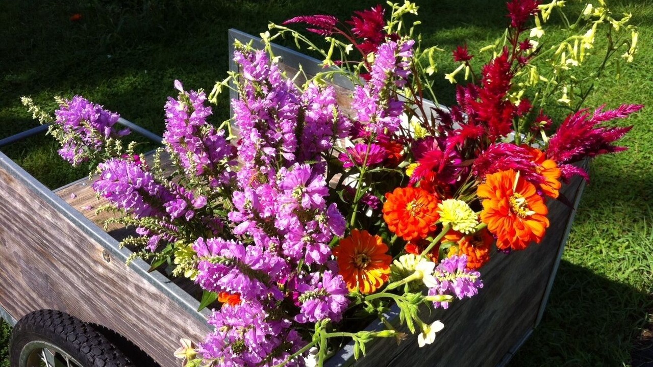 Photo of Others in East Lyme