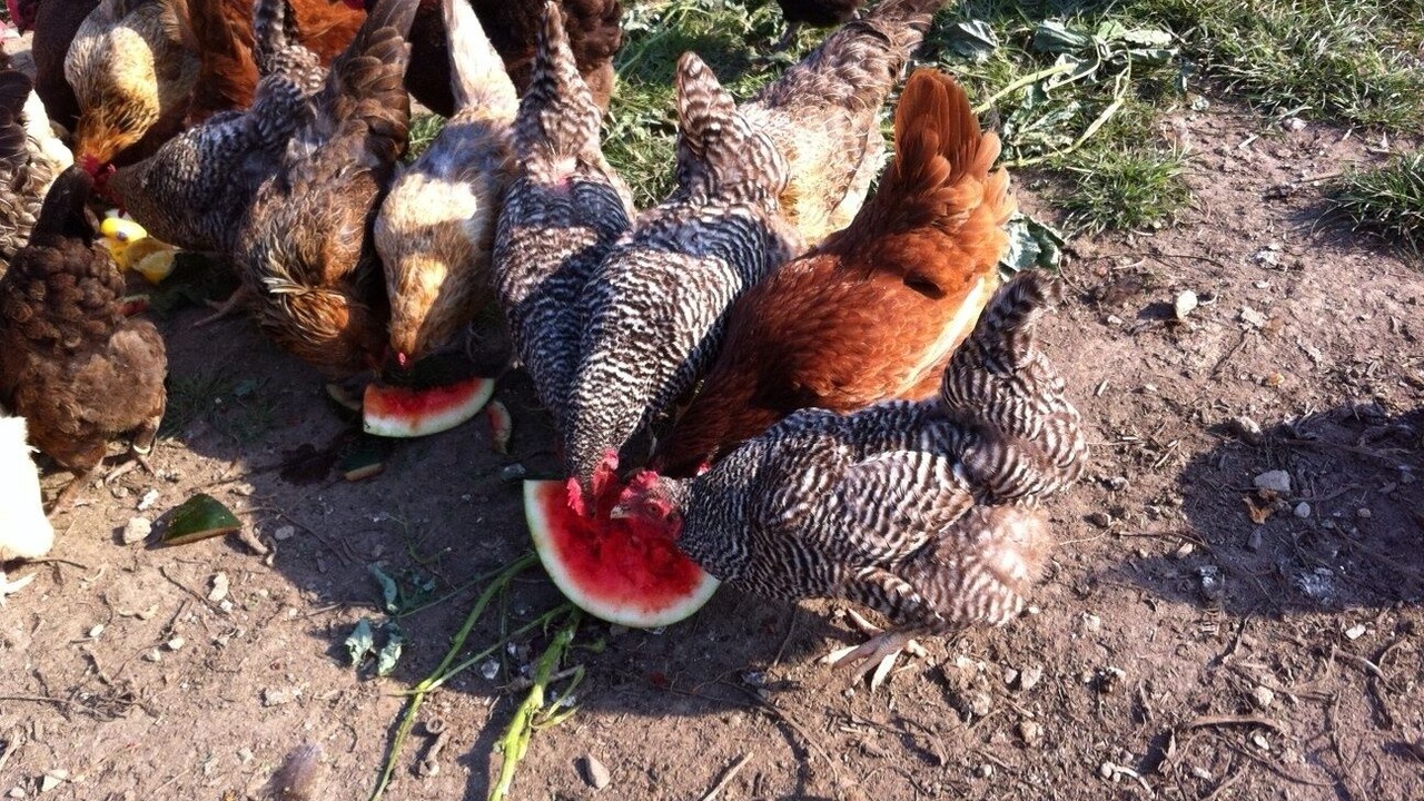 Photo of Others in East Lyme