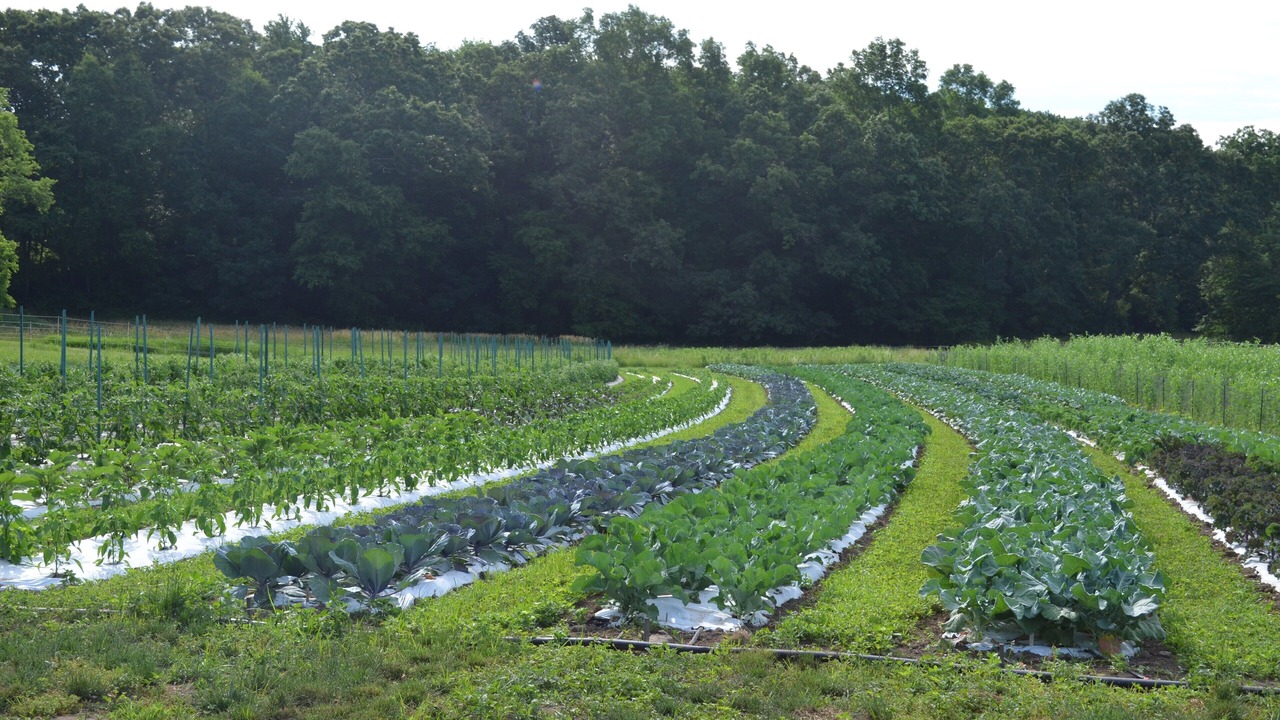 Photo of Outdoor in East Lyme