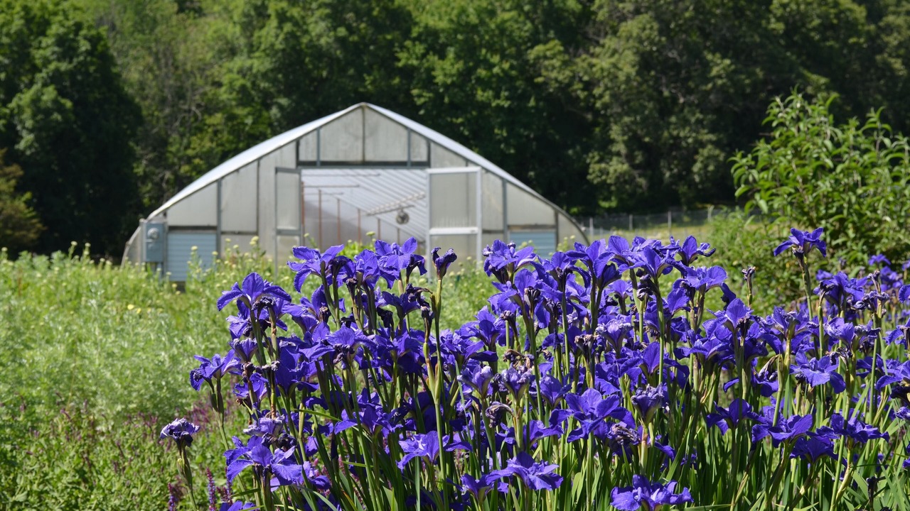 Photo of Outdoor in East Lyme