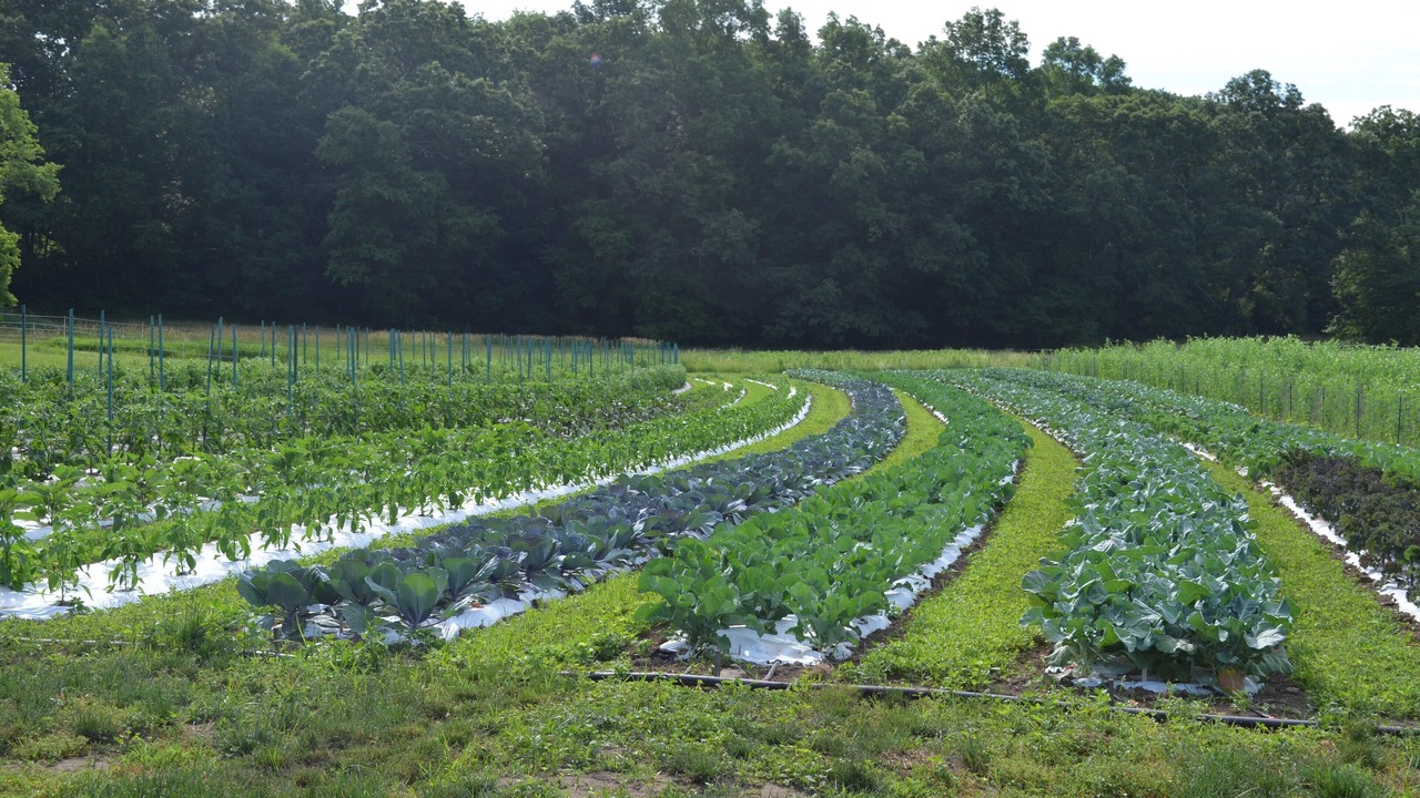 Photo of Outdoor in East Lyme