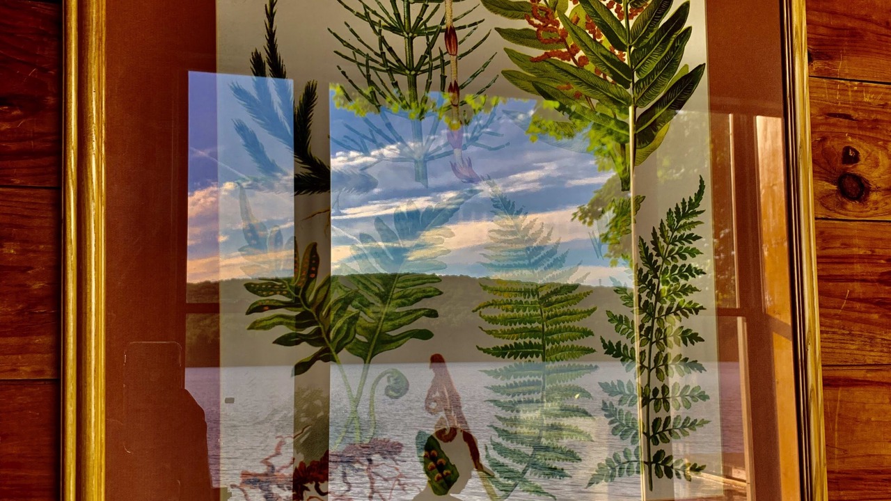 Photo of Others in East Lyme