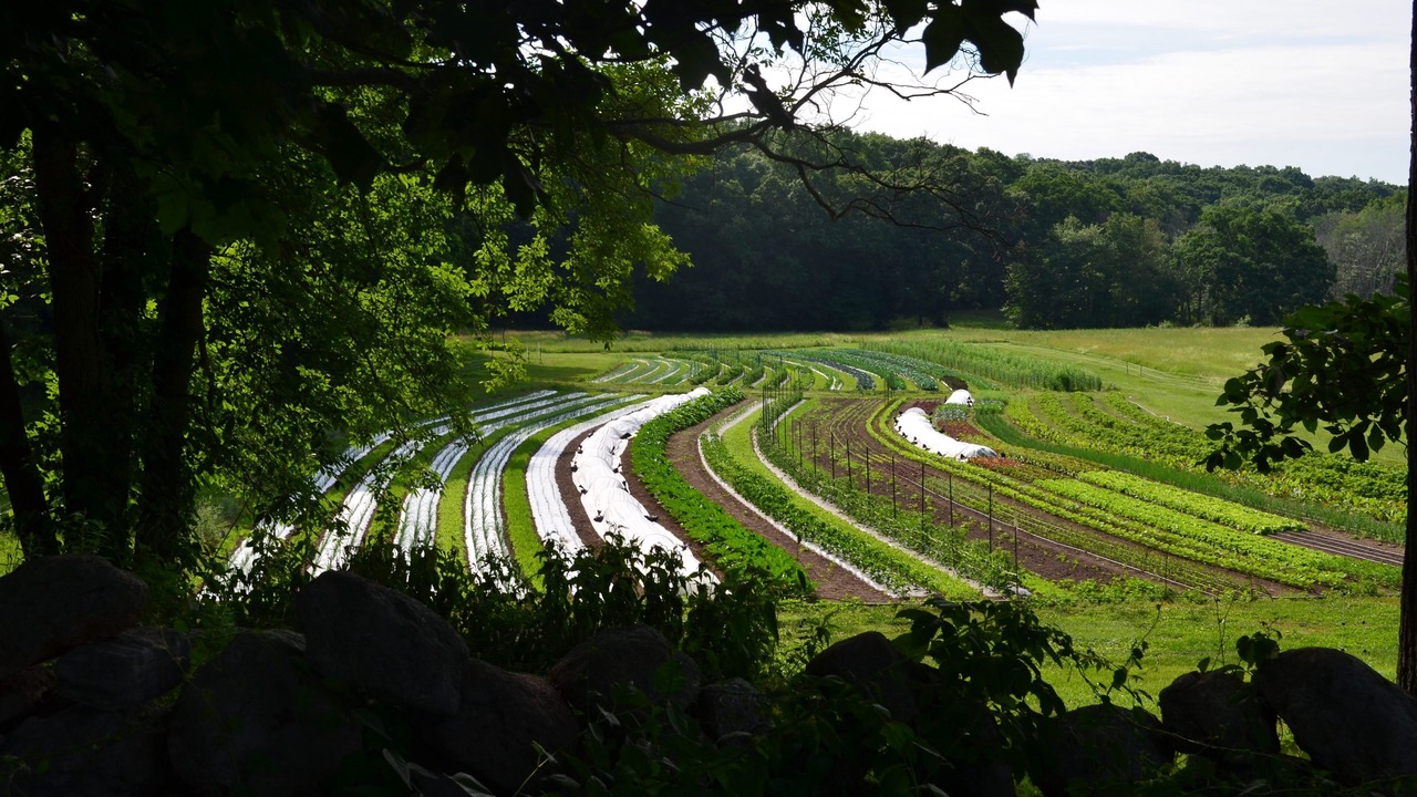 Photo of Others in East Lyme