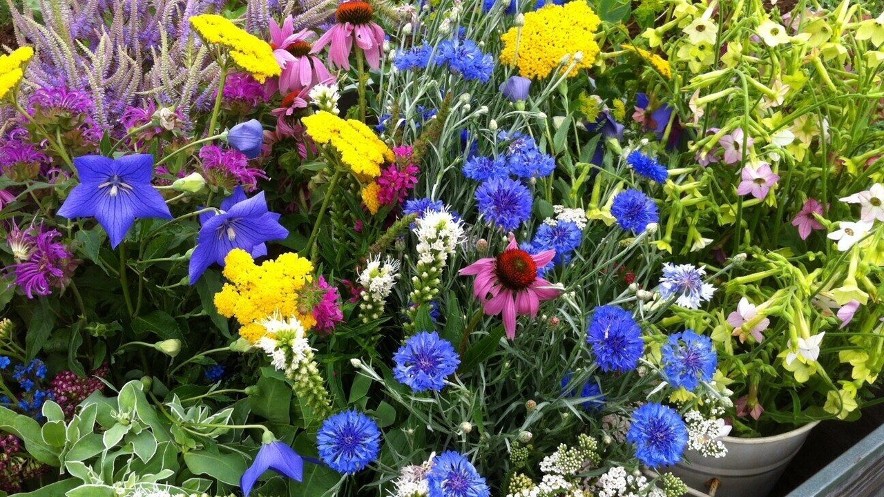 Photo of Outdoor in East Lyme