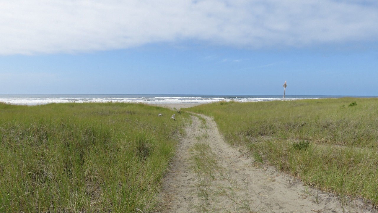 Photo of Others in Long Beach