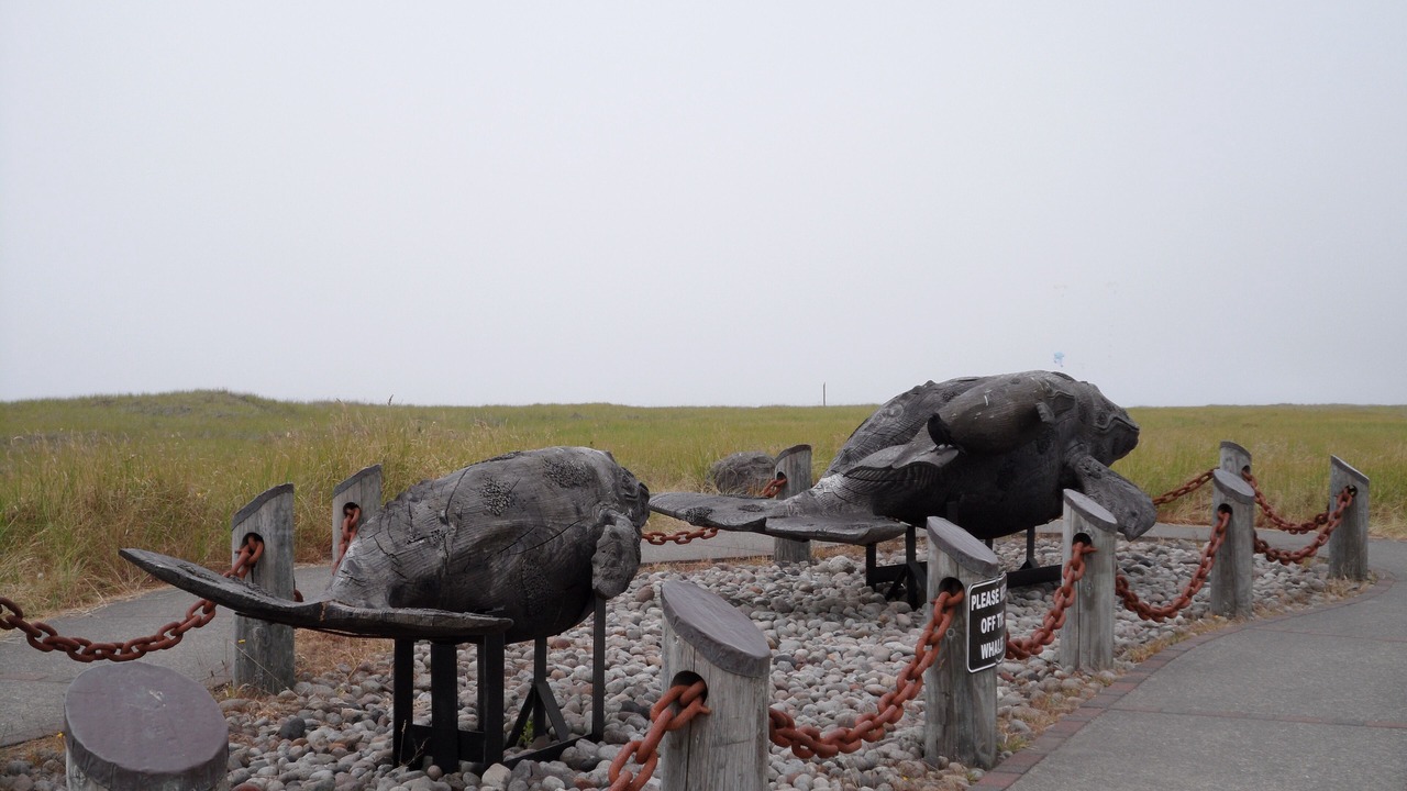 Photo of Others in Long Beach