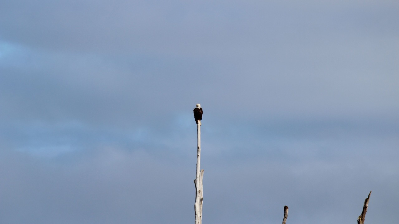 Photo of Others in Long Beach