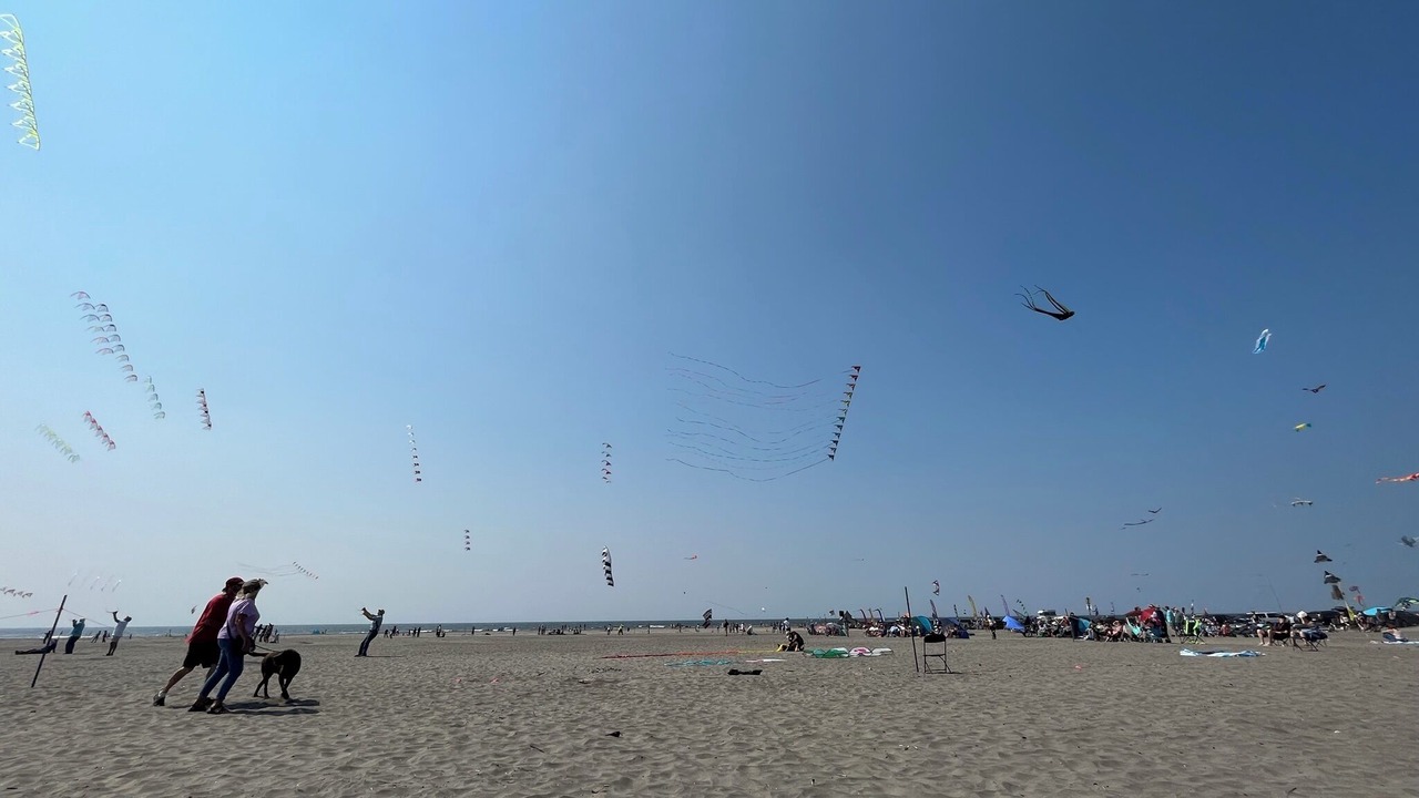 Photo of Others in Long Beach