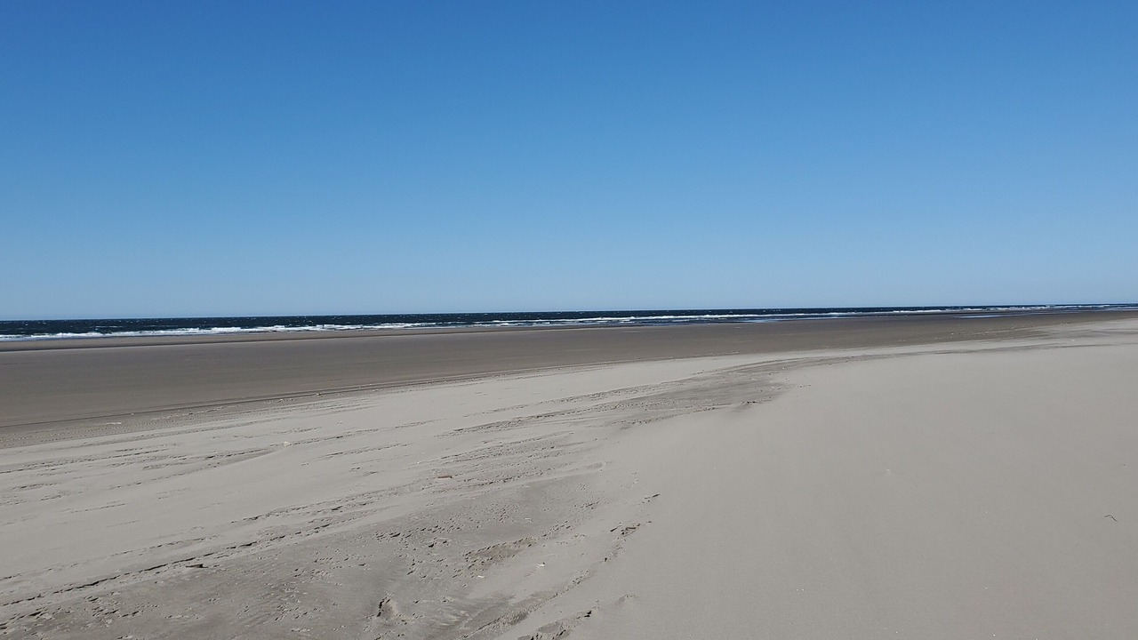 Photo of Others in Long Beach