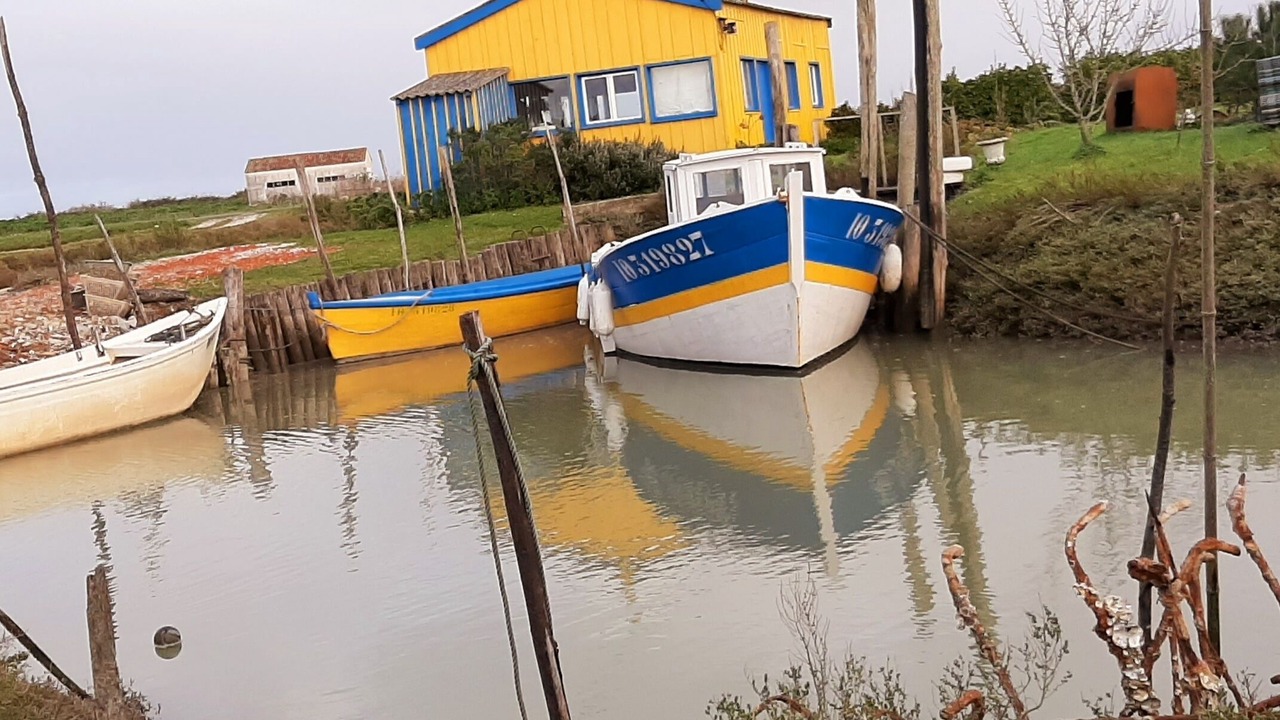 Photo of Others in Marennes