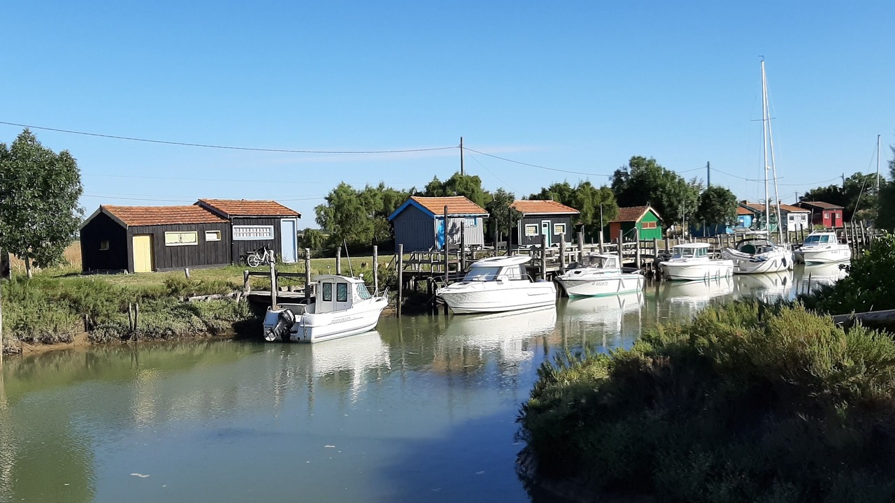 Photo of Others in Marennes